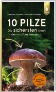 10 Pilze