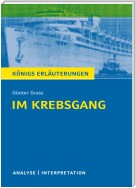 Im Krebsgang von Günter Grass. Alle erforderlichen Infos für Abitur, Matura, Klausur und Referat plus Musteraufgaben mit Lösungsansätzen.