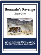 Bernardo's Revenge
