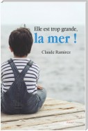 Elle est trop grande, la mer !