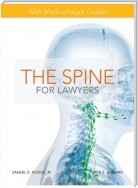 The Spine for Lawyers