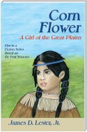 Corn Flower, A Girl of the Great Plains