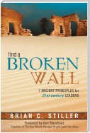 Find A Broken Wall