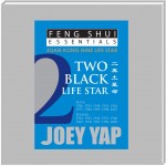 Feng Shui Essentials - 2 Black Life Star
