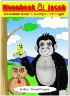 Moonbeak and Jacob Adventure Book 1-Sunny's First Flight (Children Book Age 3 to 5)