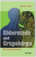 Eiderstedt und Erzgebirge. Ein Liebesroman