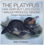 The Platypus Has Hair but Lays Eggs, and Males Produce Venom! | Children's Science & Nature