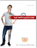 Nervous System, The