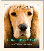 Dog Eldercare: Caring for Your Middle Aged to Older Dog