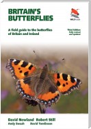 Britain's Butterflies