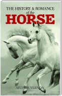 The History and Romance of the Horse