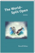 The World Split Open