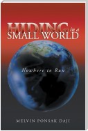 Hiding in a Small World - Nowhere to Run