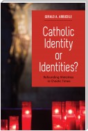 Catholic Identity or Identities?