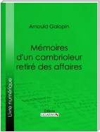 Mémoires d'un cambrioleur retiré des affaires