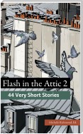 Flash in the Attic 2