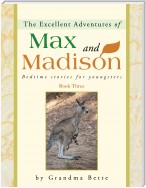 The Excellent Adventures of Max and Madison