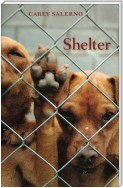 Shelter