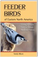 Feeder Birds of Eastern North America