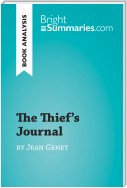 The Thief's Journal by Jean Genet (Book Analysis)