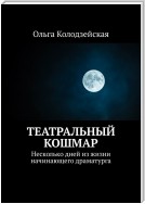 Театральный кошмар. Несколько дней из жизни начинающего драматурга