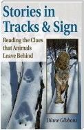 Stories in Tracks & Sign