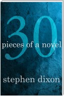 30 Pieces of a Novel