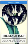 The Black Tulip (Dream Classics)