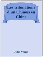 Les tribulations d’un Chinois en Chine