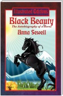 Black Beauty (Illustrated Edition)