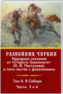 Разбойник Чуркин. Том 2. В Сибири