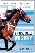 A Horse Called Mighty