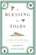 A Blessing of Toads