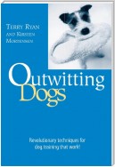 Outwitting Dogs