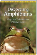 Discovering Amphibians