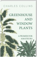 Greenhouse and Window Plants - A Primer for Amateurs