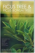 Ficus Tree and Ficus Bonsai Tree. The Complete Guide to Growing, Pruning and Caring for Ficus. Top Varieties