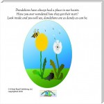 Why Dandelions Grow