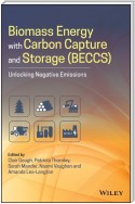 Biomass Energy with Carbon Capture and Storage (BECCS)