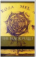 The Black pullet