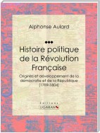 Histoire politique de la Révolution française