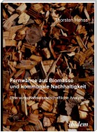 Fernwärme aus Biomasse und kommunale Nachhaltigkeit