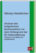 Analyse des bulgarischen Bankensektors vor dem Hintergrund der EU-Osterweiterung