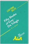 Fifty Shades of Grey - Die Trilogie von E.L. James (Lektürehilfe)