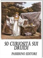 50 curiosità sui Druidi