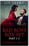 Bad Boys Box Set – Part 1-3