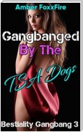 Bestiality Gangbang 3: Gangbanged By The TSA Dogs