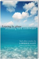 Leaving by Plane Swimming back Underwater