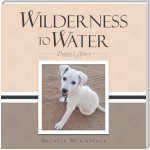 Wilderness to Water