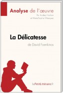 La Délicatesse de David Foenkinos (Analyse de l'oeuvre)